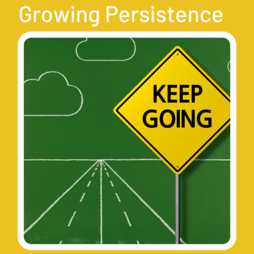 persistence blog feature